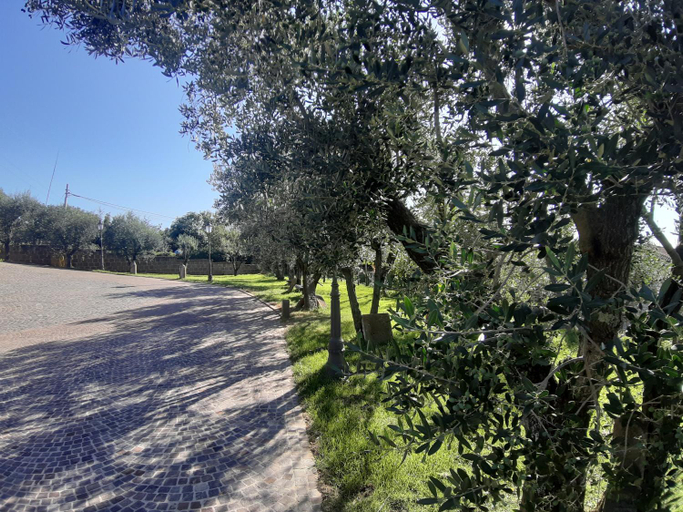 Others 4, B&B LE BACETTE, Viterbo