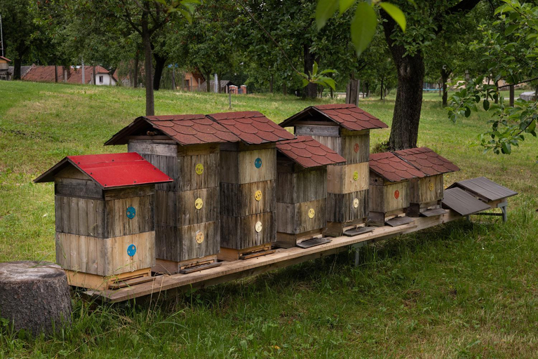 Others 3, Penzion Zubr, Žďár nad Sázavou