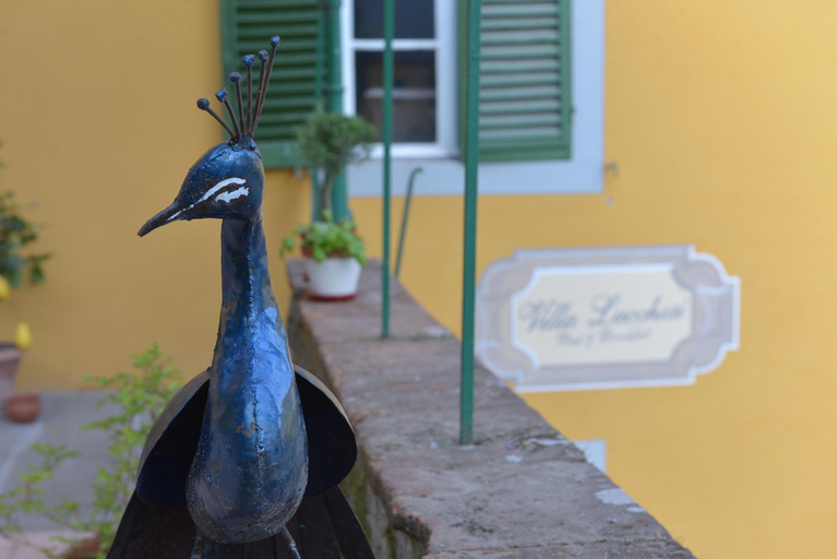 Others 4, Villa Lucchesi, Lucca