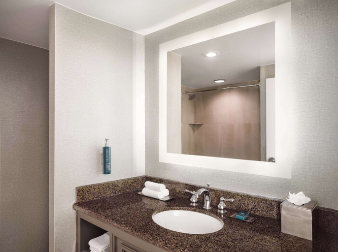 Bathroom 4, DoubleTree by Hilton Austin, Travis