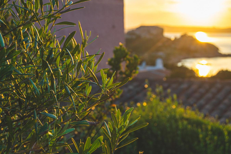 Others 5, Residence I Cormorani Bis, Olbia-Tempio