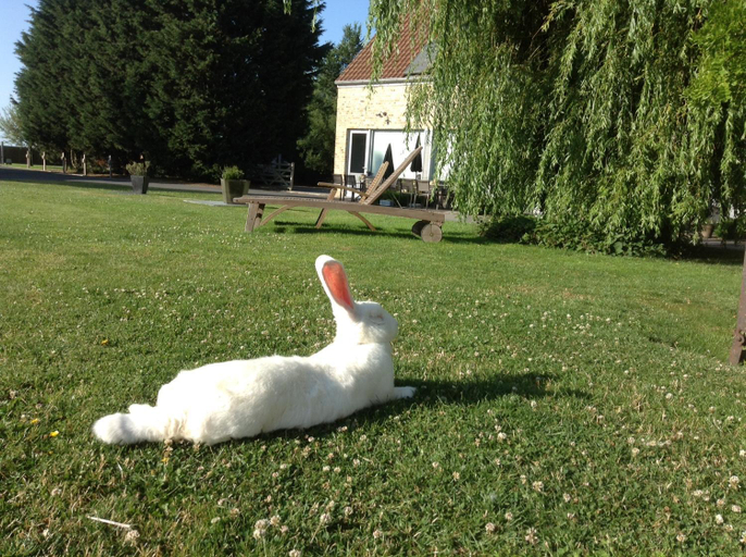 Others 4, B&B Het Schalienhof, West-Vlaanderen