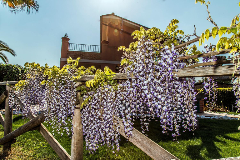 Others 2, Agriturismo B&B Le Gazze, Fermo