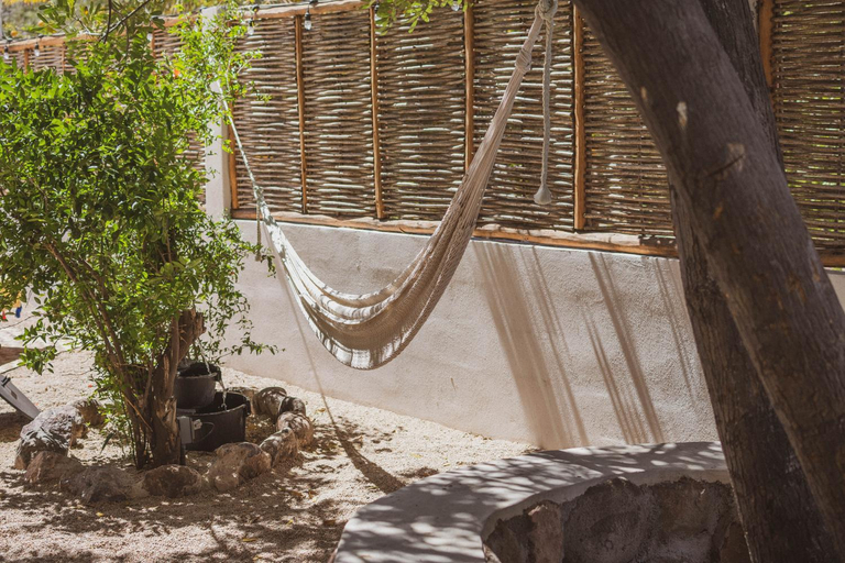 Others 4, The Mantarraya Outpost, La Paz