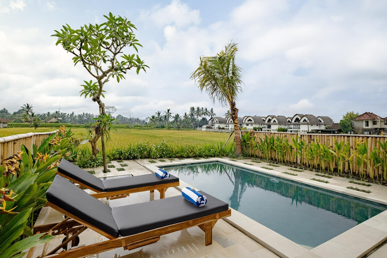 Swimming Pool 15