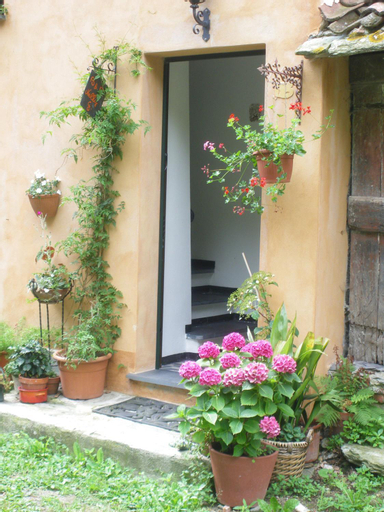 B&B Nelly G, Savona