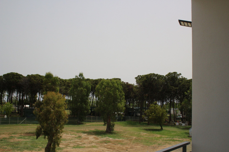 Others 4, Levante, Cosenza