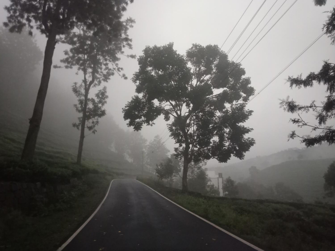 Others 2, The Laughing Woods AC Resort, The Nilgiris