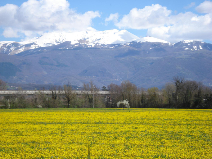 Others 5, Dentro le mura, Rieti