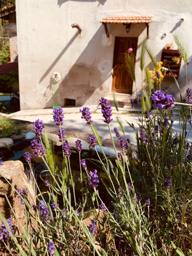B&B Paradiso, Perugia