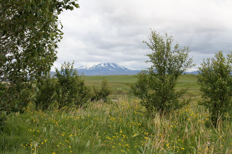 Others 4, Kaldbakur Guesthouse, Rangárvallahreppur
