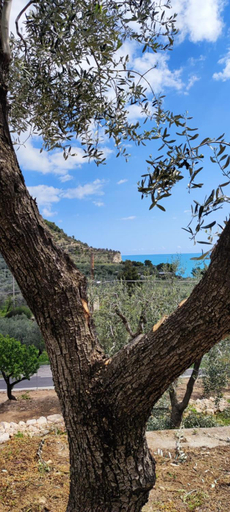 Others 2, Dimora Mediterranea, Foggia