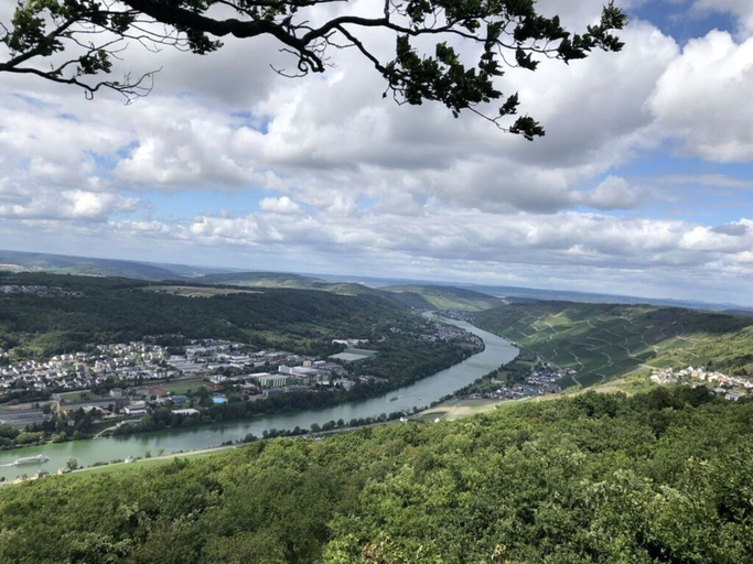Aerial view, Uitzicht op de Wijngaard, Bernkastel-Wittlich