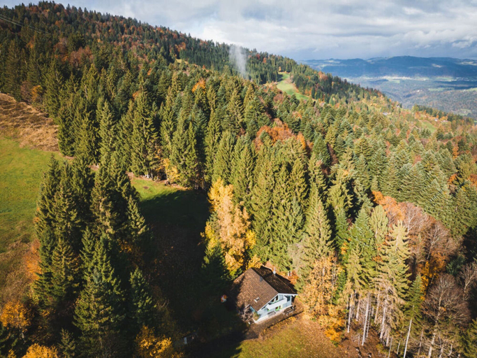 Aerial view, Bregenzerwald Holiday Home, Bregenz