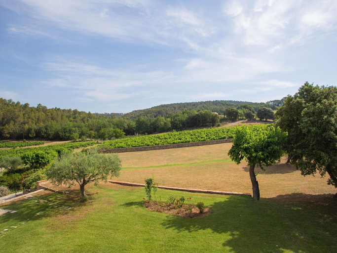 View from property 5, Chateau in Lorgues With Pool & Vineyard Views, Var