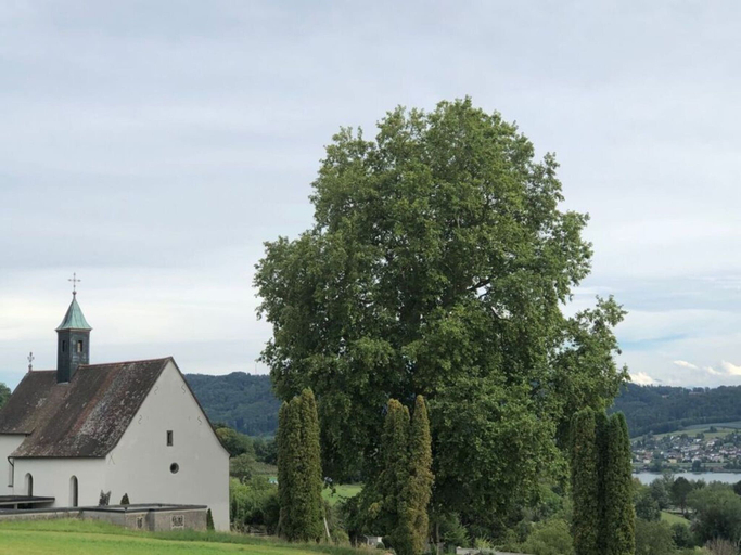 Others 2, Pleasant Apartment With Terrace, Konstanz