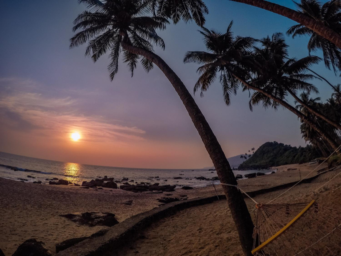 Others 3, Soneca Cola, South Goa