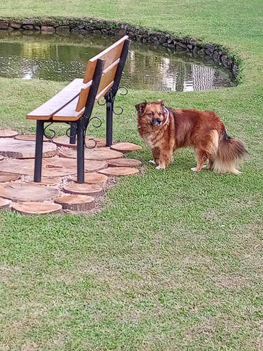 Others 4, Residencial Aconchego do Lago, Gramado