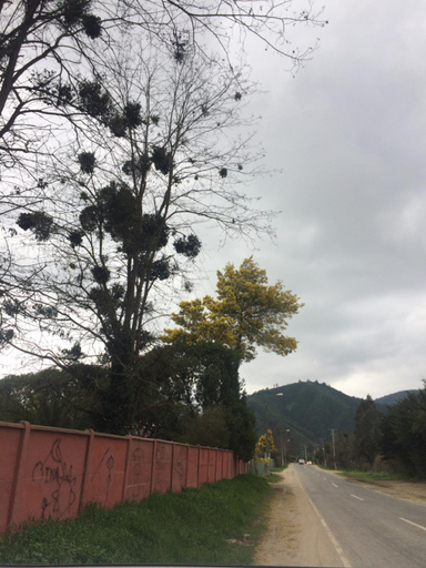 Others 4, La Casa Vinilla, Melipilla