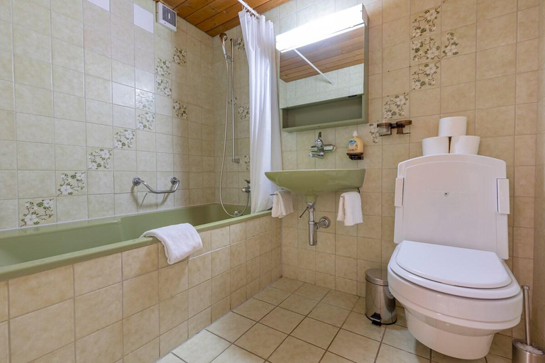 Others 5, Apartment Eiger - Aare Jungfrau AG, Interlaken