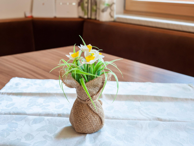 Others 2, Spacious Apartment in Tschagguns With Garden, Bludenz
