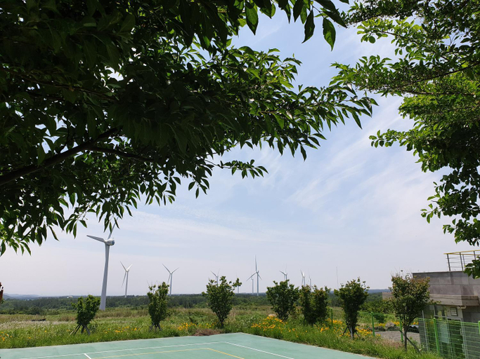 Sport & Beauty 2, brassica folwer pension, Seogwipo