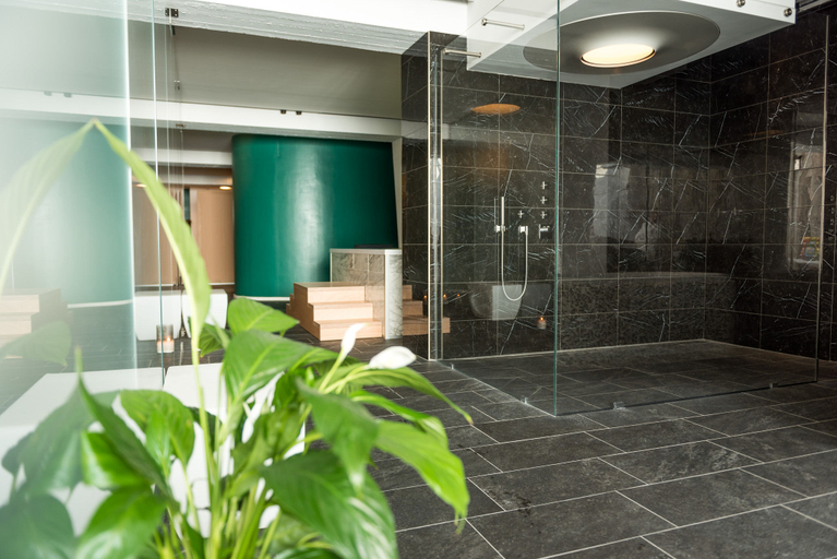 Bathroom 5, Valgranda Wellness & Spa Hotel, Belluno