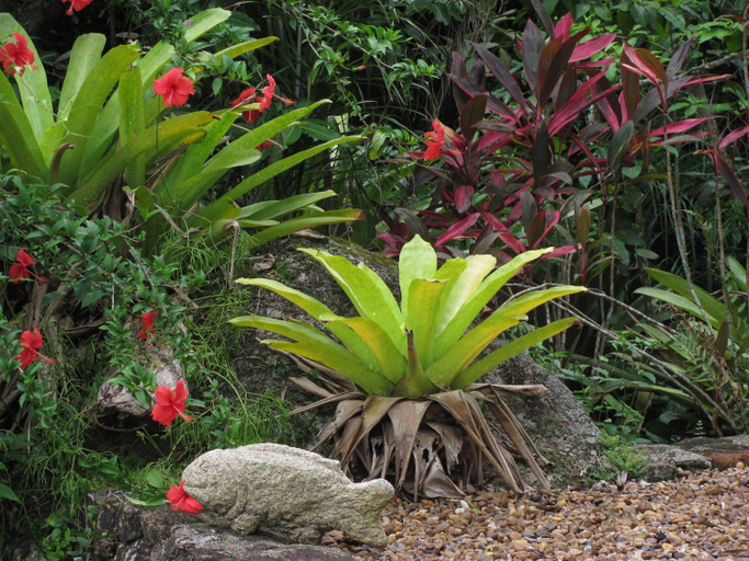Others 5, Sitio Rodamonte, Ilhabela