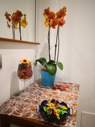Others 3, B&B Esmeralda, Trento