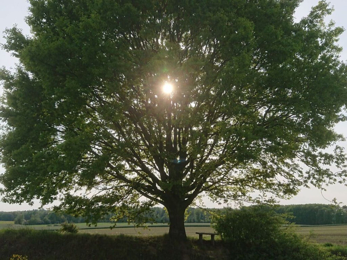 Property grounds, Holiday Apartment Red Milan, Nordwestmecklenburg