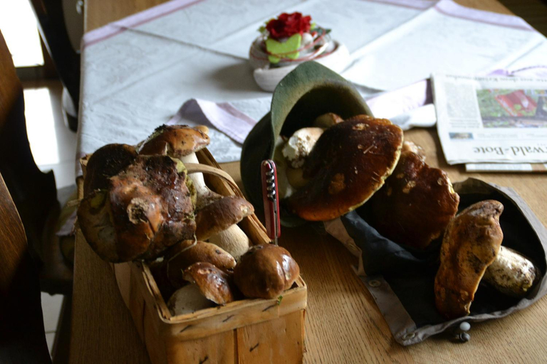 Food & Drinks 5, Erlebnispension Zum Wanderer Sepp, Regen