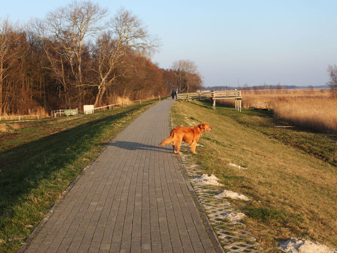 Pet-friendly, Beachkeeper Comfortable Holiday Residence, Vorpommern-Rügen