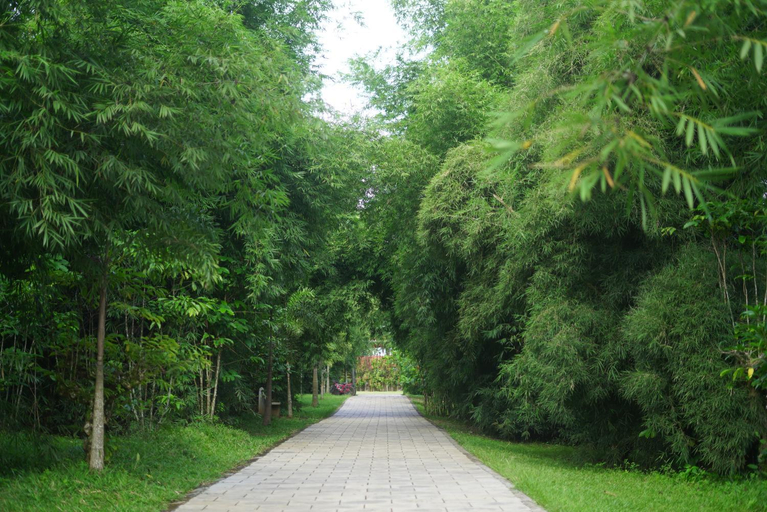 Others 3, Coffee Greens Resort, Wayanad