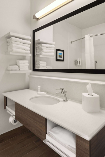 Bathroom 3, Hampton Inn Minneapolis NW Maple Grove, Hennepin