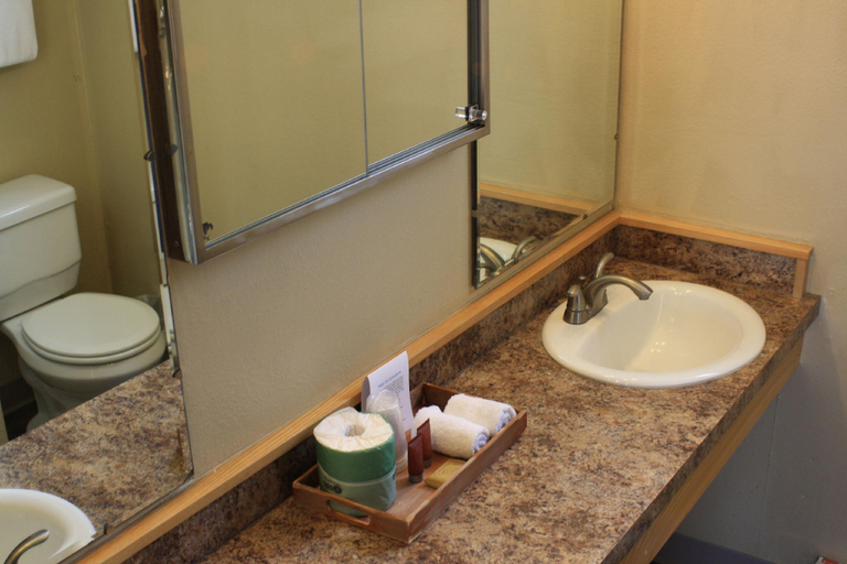Bathroom 4, Manor Lodge Motel, Whitman
