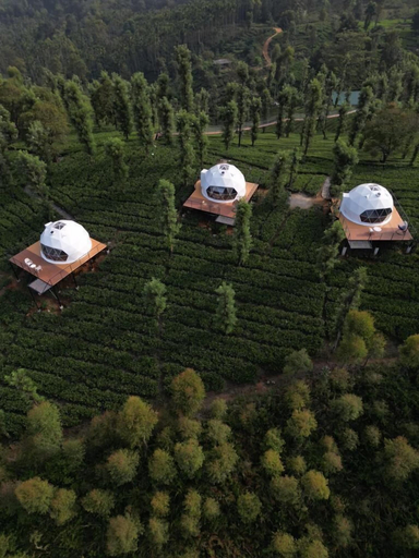 Others 4, Vythiri Tea Valley, Wayanad