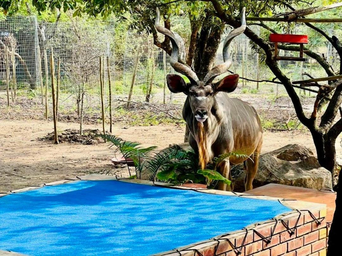 Sport & Beauty 5, Zaganaga Kruger Lodge, Ehlanzeni