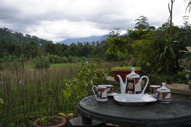 Others 5, Ella Nature valley homestay, Ella