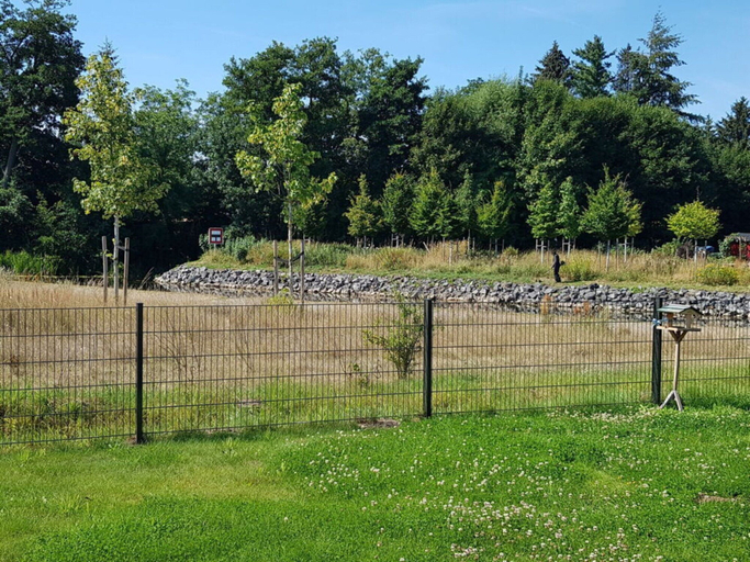 Sport court, Beaver Modern Retreat, Barnim