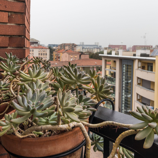 Room 2, Mi-peri5a6 - Pericle 5, Milano