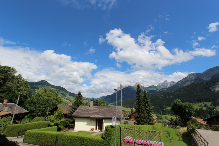 Rosat 25, Pays-d'Enhaut