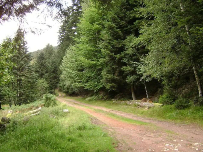 Exterior 5, Gite Hansel, set in Greenery Beside a Stream, Bas-Rhin