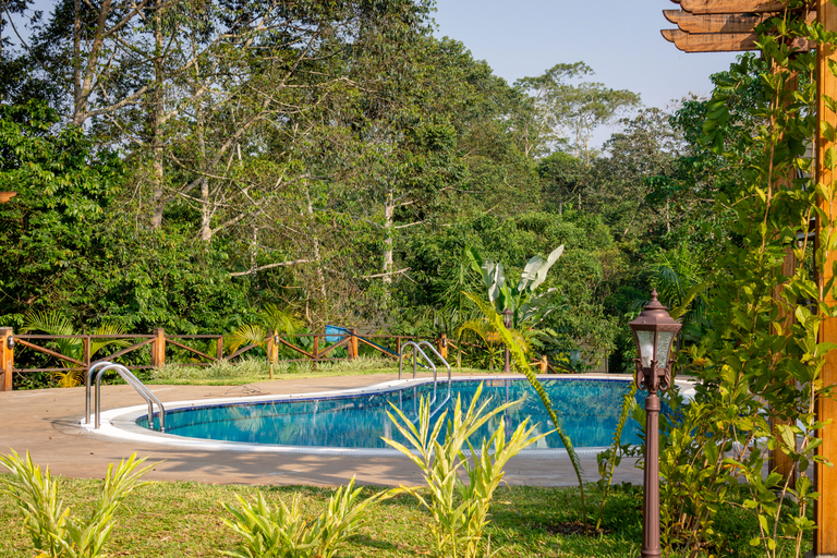 Sport & Beauty 2, Chimpundu Lodge, Kibale