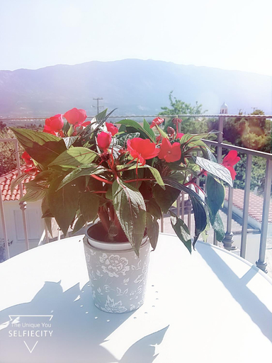 Others 4, Margarita's Attic-The Suite Loft, Ionian Islands