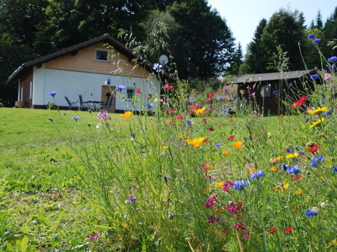 Exterior 2, Attractive Apartment in Haidmuhle, Freyung-Grafenau