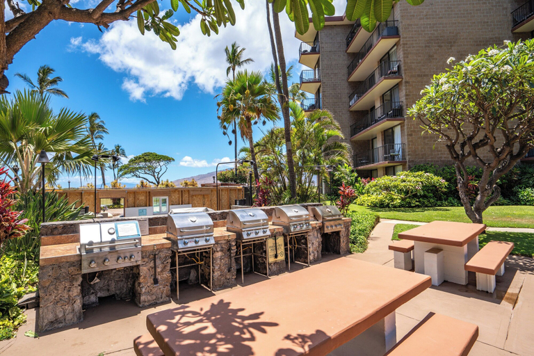 Food & Drinks 5, Sunny and Soothing Oceanfront Vistas, Maui