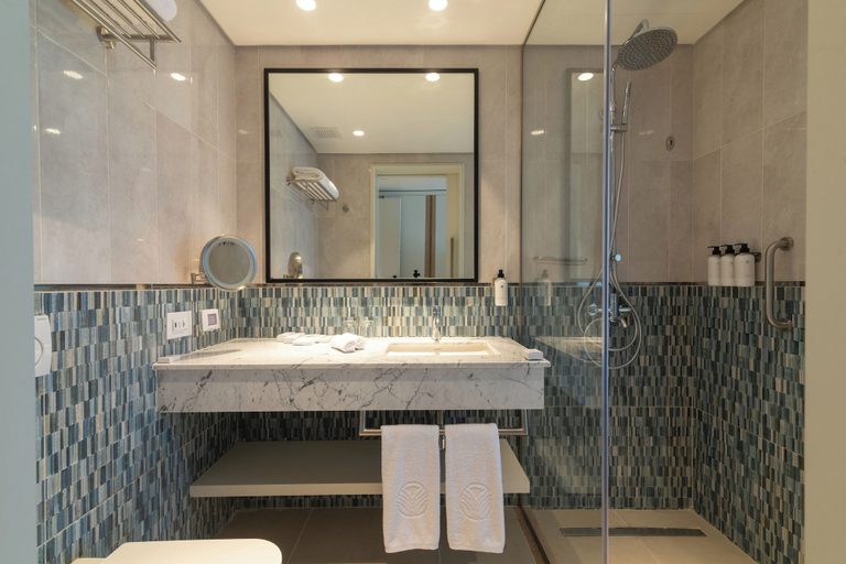 Bathroom 4, Palma Bay Rotana Resort, Ad-Dukhaylah