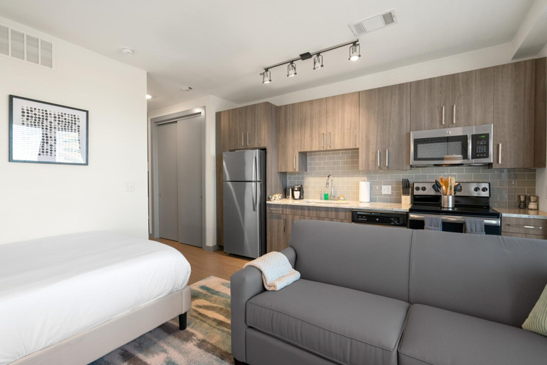 Room 5, Arlington Luxurious Studio Apartment, Arlington