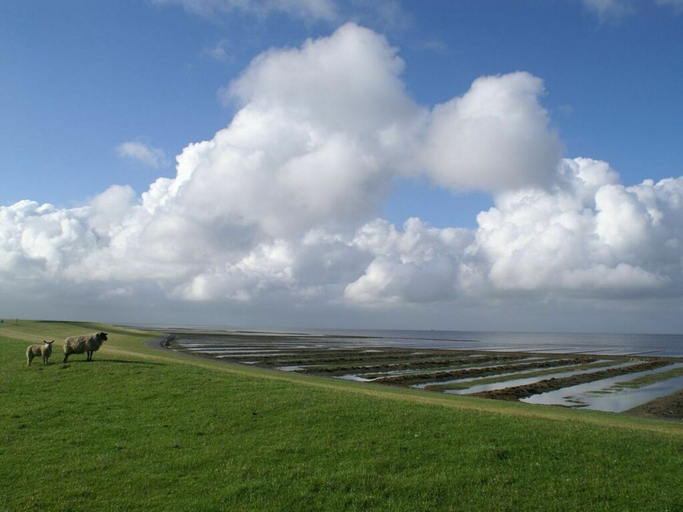Miscellaneous 2, Watt's Happiness Close to the Beach, Dithmarschen
