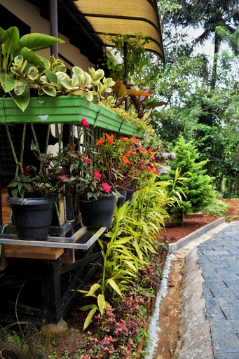 Others 5, Raymond's Holiday Homes, Wayanad